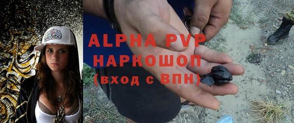 ГАЛЛЮЦИНОГЕННЫЕ ГРИБЫ Белоозёрский