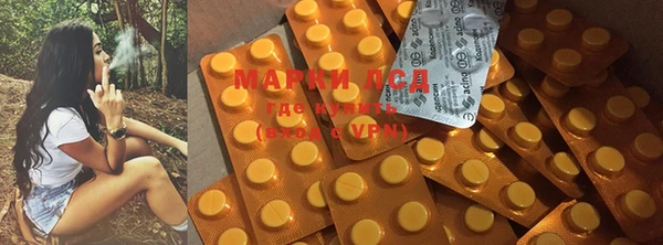стафф Богданович