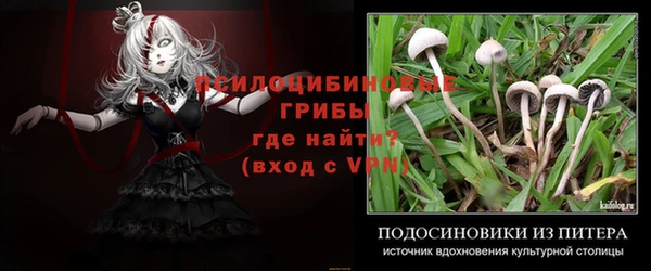 стафф Богданович