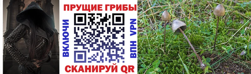 Галлюциногенные грибы мицелий  Бикин 
